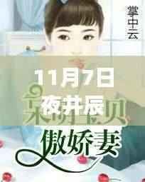 揭秘井辰唐心瑶最新章节，情感与命运的交织之夜（专刊）