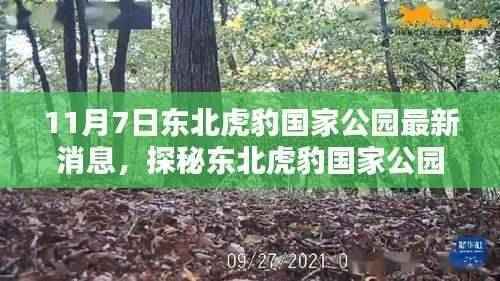 探秘东北虎豹国家公园,小巷深处的独特小店最新消息曝光(11月7日)