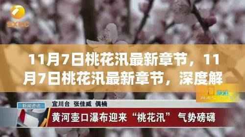 深度解读与观点阐述,最新章节桃花汛深度剖析