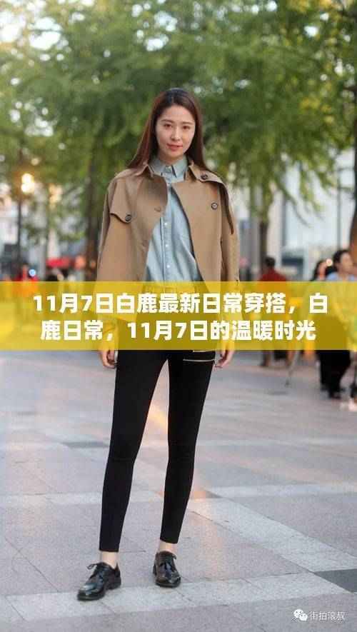 白鹿日常穿搭新风尚,11月7日的温暖时光