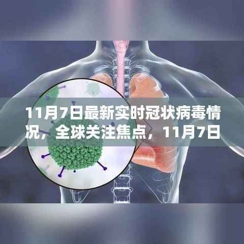 11月7日全球冠状病毒实时情况深度解析与关注焦点