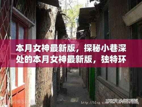 本月女神最新版,小巷深处的特色小店探秘