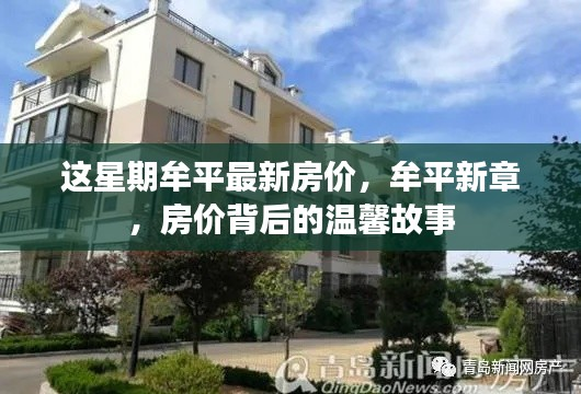 牟平最新房价揭秘,新章背后的温馨故事