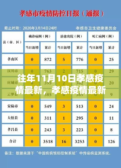 多维视角下的孝感疫情最新动态分析与思考,以历年数据为参考(某观点)
