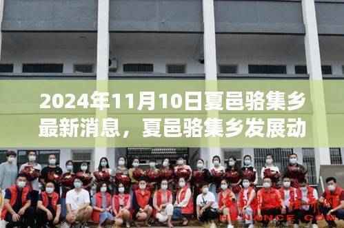 XXXX年夏邑骆集乡最新发展动态深度解读与观点探讨,以未来视角看夏邑骆集乡的蜕变之路