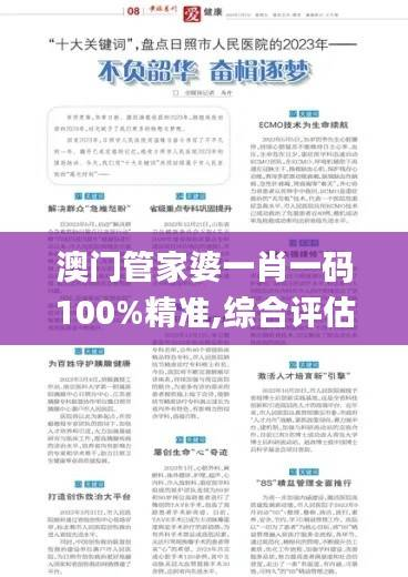 澳门管家婆一肖一码100%精准,综合评估分析_元海境BAG734.73