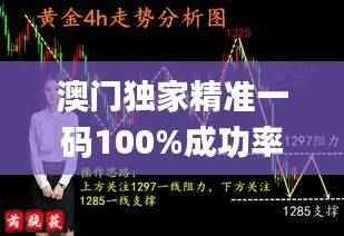 澳门独家精准一码100%成功率,官方资源策略揭秘_掌中版BGD682.85