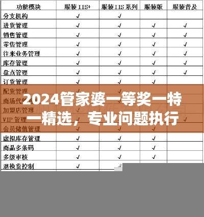 2024管家婆一等奖一特一精选,专业问题执行修订版GRV973.11