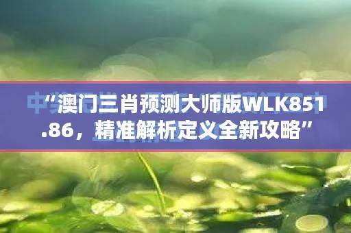 “澳门三肖预测大师版WLK851.86,精准解析定义全新攻略”