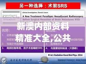 新澳内部资料精准大全,公共卫生与预防医学_精装版TMW276.56