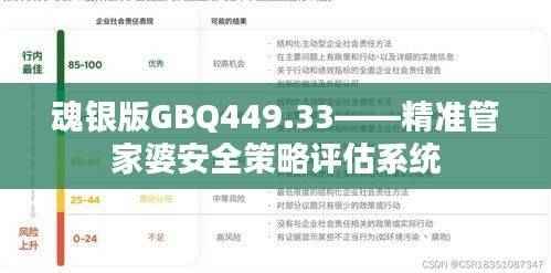 魂银版GBQ449.33——精准管家婆安全策略评估系统