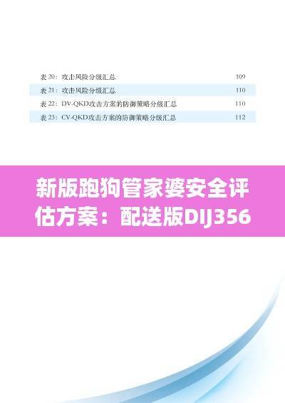 新版跑狗管家婆安全评估方案：配送版DIJ356.51