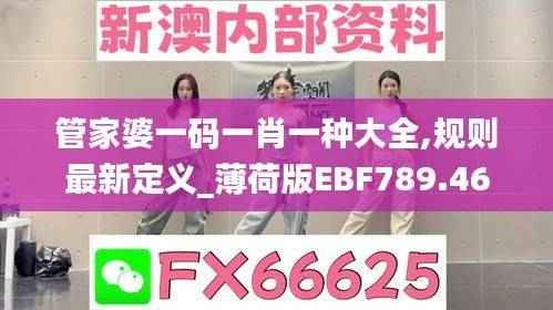 管家婆一码一肖一种大全,规则最新定义_薄荷版EBF789.46