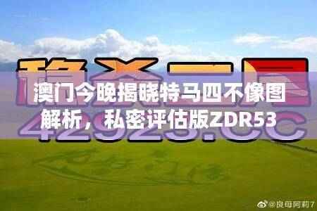 澳门今晚揭晓特马四不像图解析，私密评估版ZDR533.33