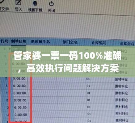 管家婆一票一码100%准确,高效执行问题解决方案_驱动版ERJ67.52