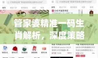 管家婆精准一码生肖解析,深度策略解读_HBS578.12实战版