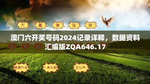 澳门六开奖号码2024记录详释,数据资料汇编版ZQA646.17