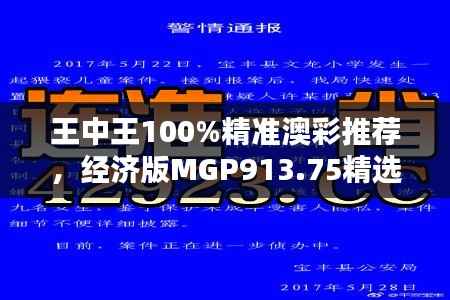 王中王100%精准澳彩推荐,经济版MGP913.75精选解析