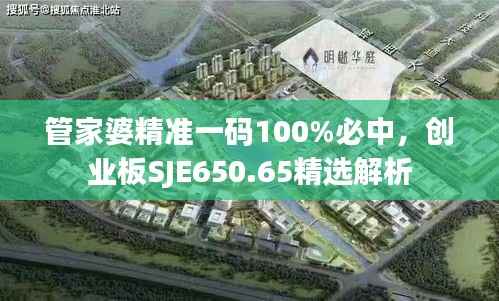 管家婆精准一码100%必中，创业板SJE650.65精选解析