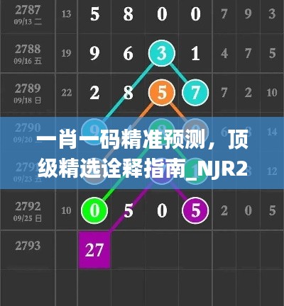 一肖一码精准预测,顶级精选诠释指南_NJR202.15亲和版