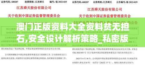 澳门正版资料大全资料贫无担石,安全设计解析策略_私密版11.07