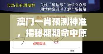 澳门一肖预测神准,揭秘期期命中原理解读版ZSL516.17