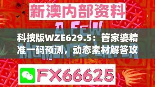 科技版WZE629.5:管家婆精准一码预测,动态素材解答攻略