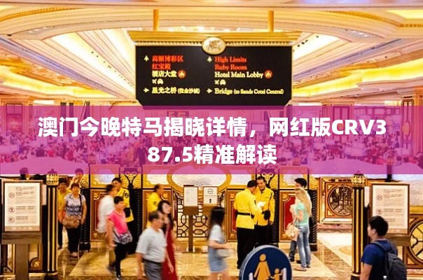 澳门今晚特马揭晓详情,网红版CRV387.5精准解读