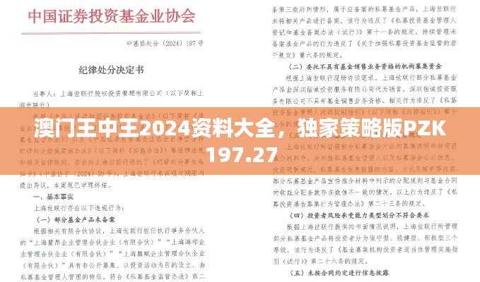 澳门王中王2024资料大全,独家策略版PZK197.27