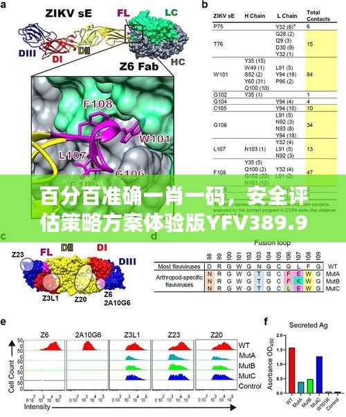 百分百准确一肖一码,安全评估策略方案体验版YFV389.99