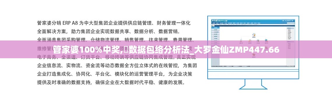 管家婆100%中奖,数据包络分析法_大罗金仙ZMP447.66