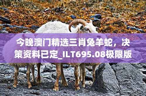 今晚澳门精选三肖兔羊蛇,决策资料已定_ILT695.08极限版