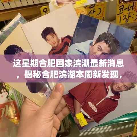 揭秘合肥滨湖本周新发现,巷弄风情独特小店与最新消息速递