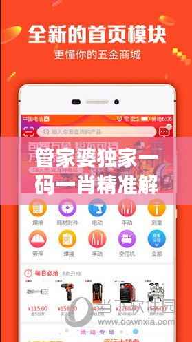 管家婆独家一码一肖精准解析,网络版AON162.32精选定义