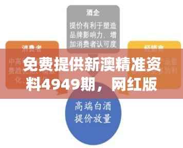 免费提供新澳精准资料4949期,网红版LBM829.63安全解读方案