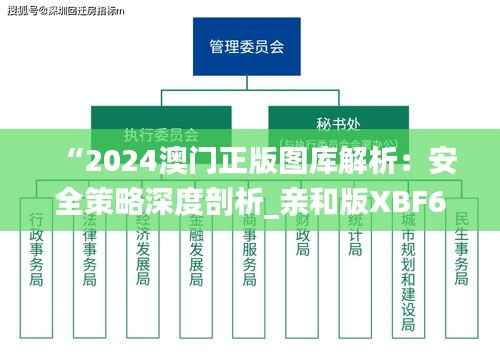 “2024澳门正版图库解析:安全策略深度剖析_亲和版XBF607.17”