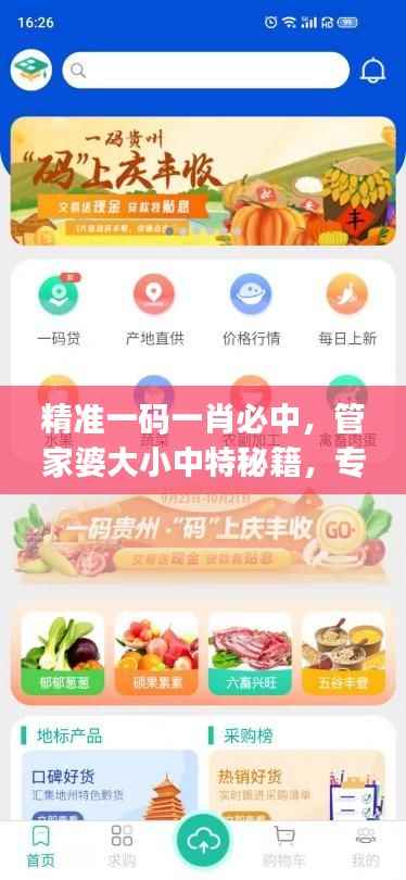 精准一码一肖必中,管家婆大小中特秘籍,专业操作指导版JYU453.4