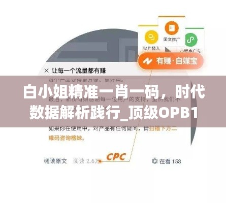 白小姐精准一肖一码,时代数据解析践行_顶级OPB111.21版