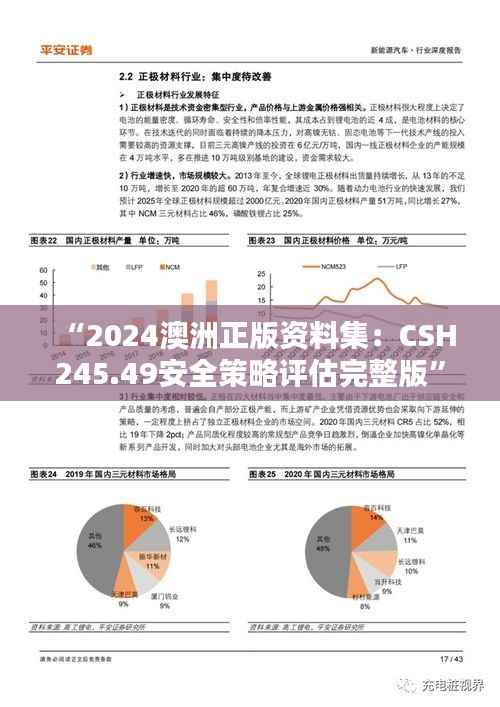 “2024澳洲正版资料集:CSH245.49安全策略评估完整版”