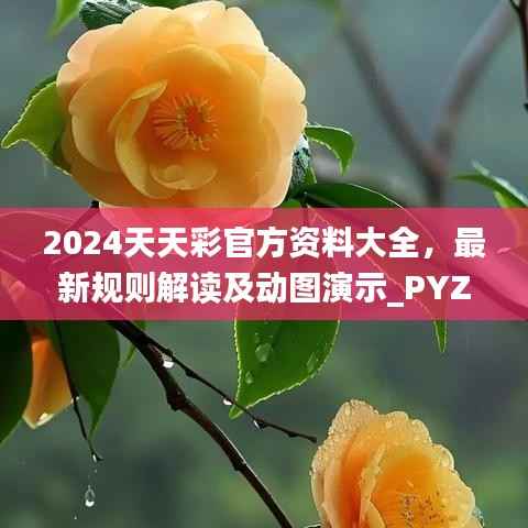 2024天天彩官方资料大全,最新规则解读及动图演示_PYZ99.63