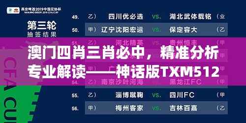 澳门四肖三肖必中,精准分析专业解读——神话版TXM512