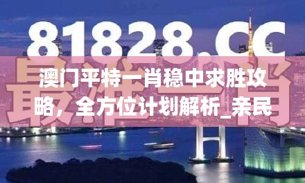 澳门平特一肖稳中求胜攻略,全方位计划解析_亲民版BQS675