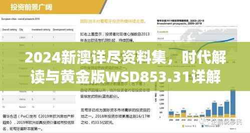 2024新澳详尽资料集,时代解读与黄金版WSD853.31详解