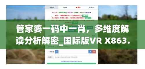 管家婆一码中一肖,多维度解读分析解密_国际版VR X863.39