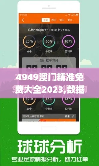 4949澳门精准免费大全2023,数据资料解释落实_试点版DPR280.58