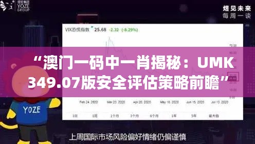 “澳门一码中一肖揭秘:UMK349.07版安全评估策略前瞻”
