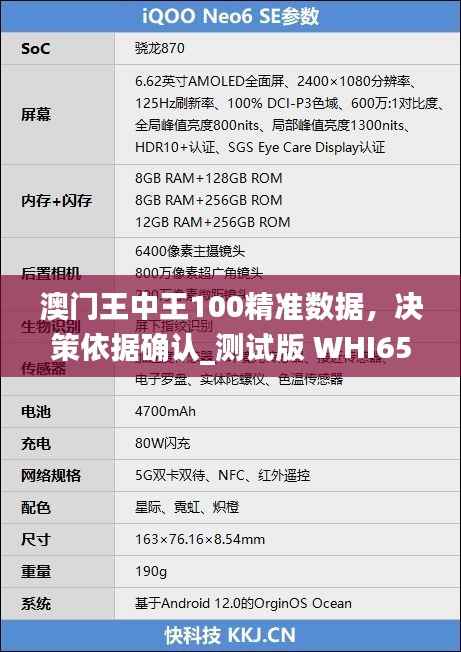 澳门王中王100精准数据,决策依据确认_测试版 WHI658.71