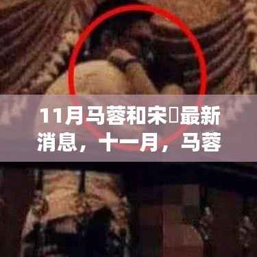 11月马蓉与宋喆最新动态,心灵之旅中的自然美景探索之旅
