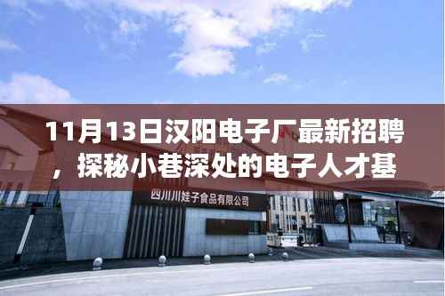 汉阳电子厂11月最新招聘探秘,小巷深处的电子人才基地之旅