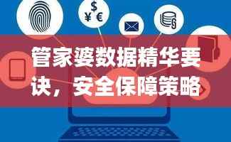 管家婆数据精华要诀,安全保障策略揭秘_版本SNF657.16